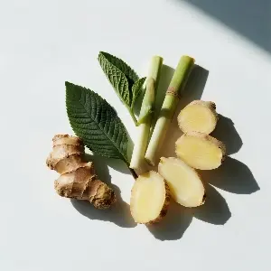 A Synergistic Blend of Herbs (Nettle Leaf, Lemongrass, Ginger, Radix Asparagi) A Synergistic Blend of Herbs (Nettle Leaf, Lemongrass, Ginger, Radix Asparagi)