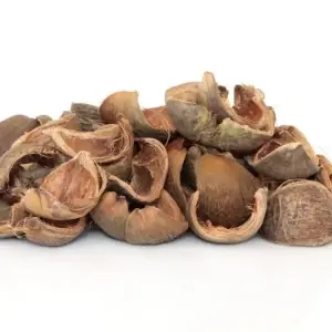 Pericarpium Citri Reticulatae