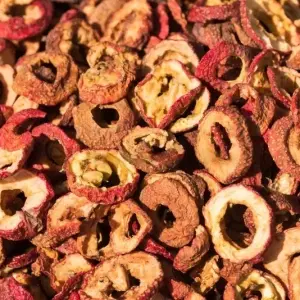 Fructus Crataegi Fructus Crataegi