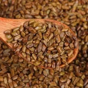 Semen Cassiae Semen Cassiae