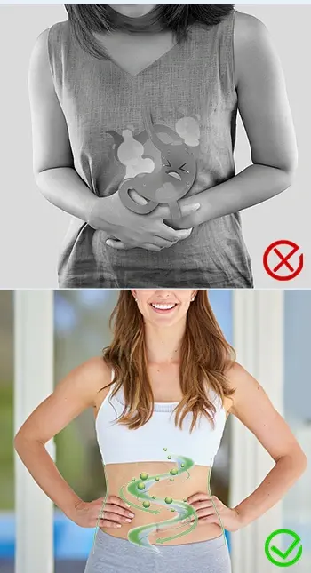 Promote healthy digestion Promote healthy digestion