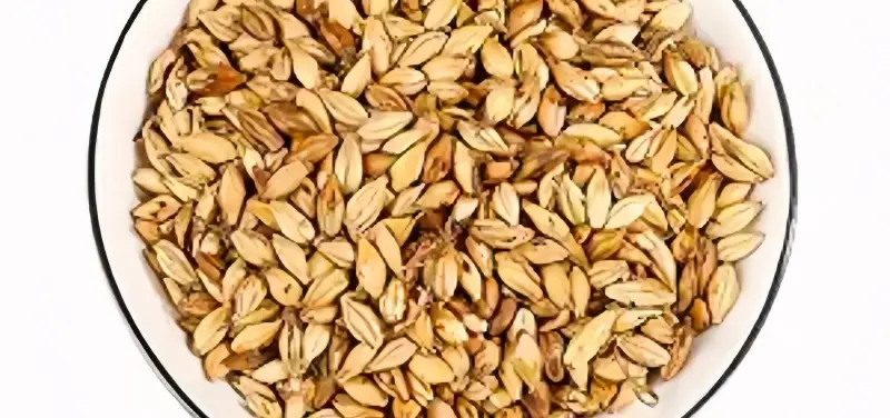 Fried Malt Fried Malt