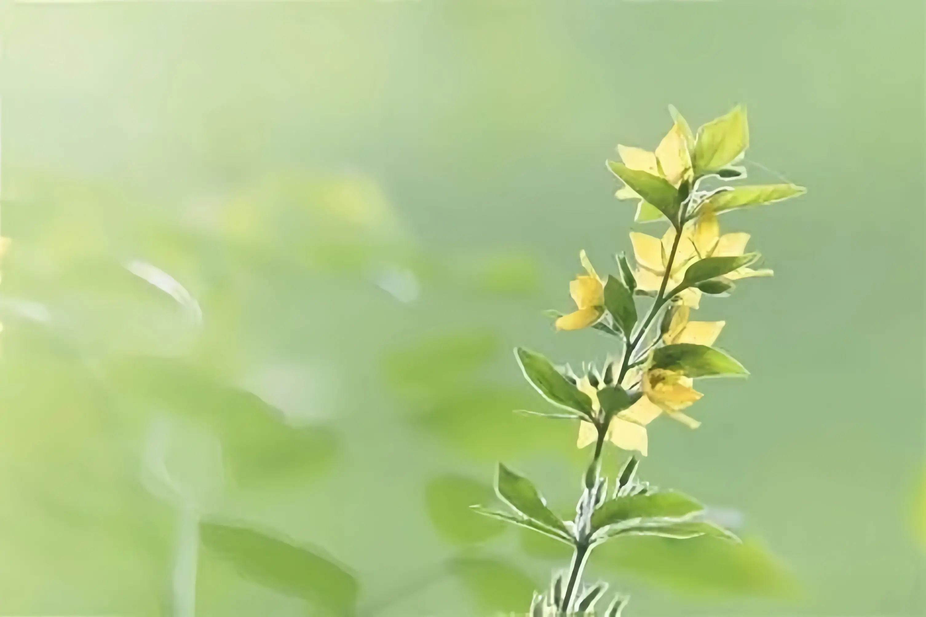 Eco-Friendly & Clean Eco-Friendly & Clean