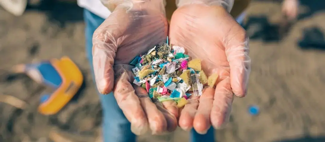 Microplastics are now everywhere