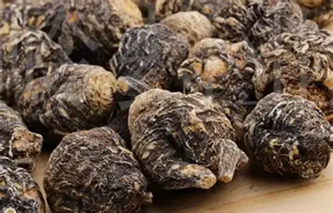 Maca Root Maca Root