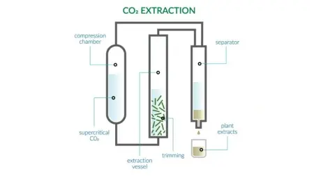 Supercritical CO2 Extraction