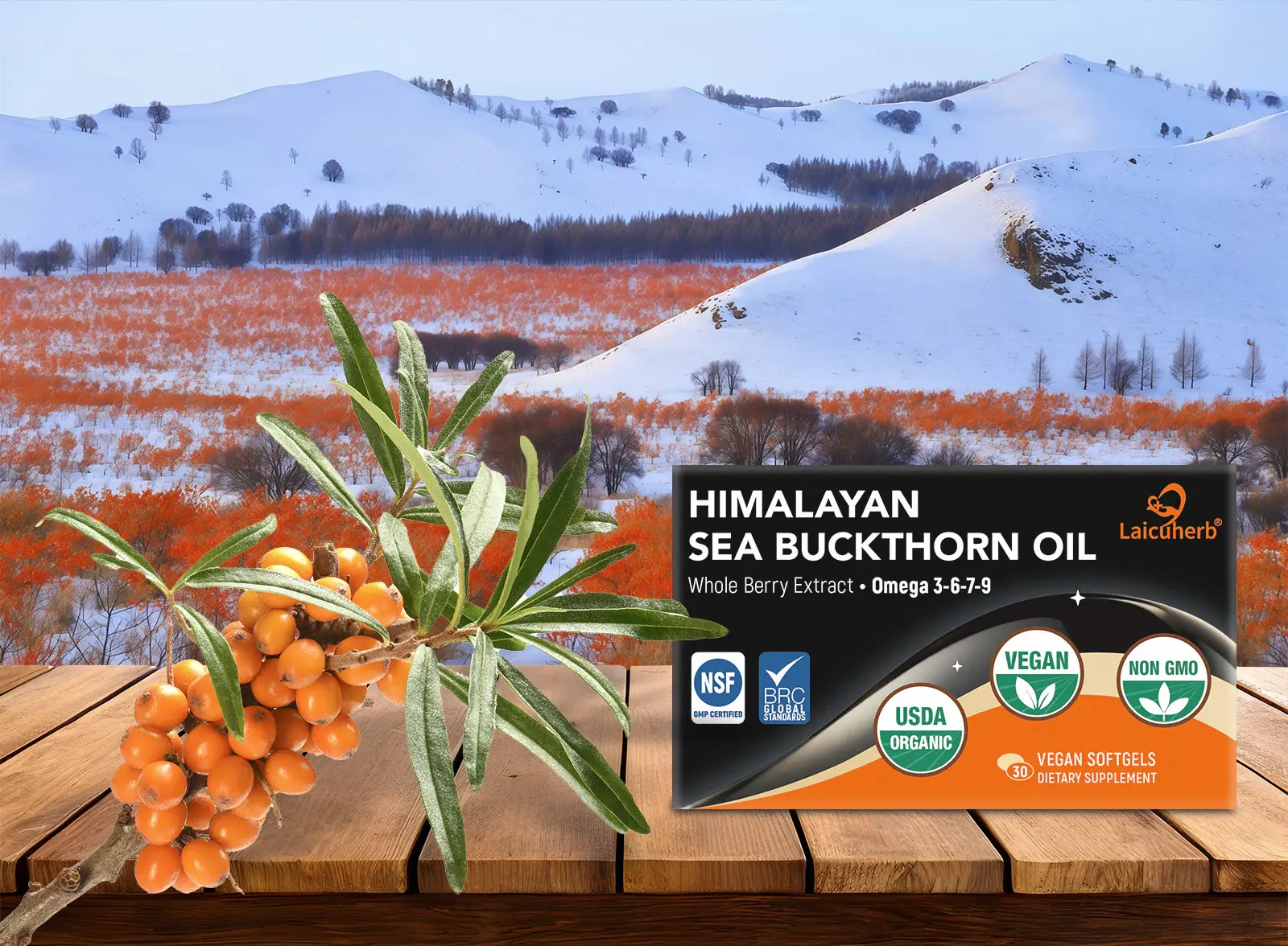 Laicuherb's Himalayan Sea Buckthorn Oil is derived from wild sea buckthorn in the Himalayas