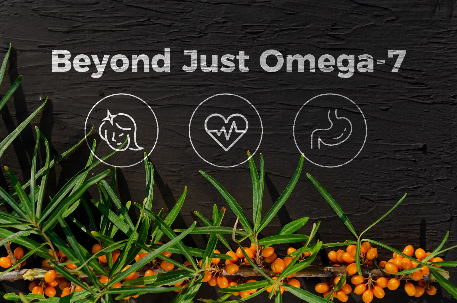 Laicuherb's Omega 7 sea buckthorn oil capsules promote overall health