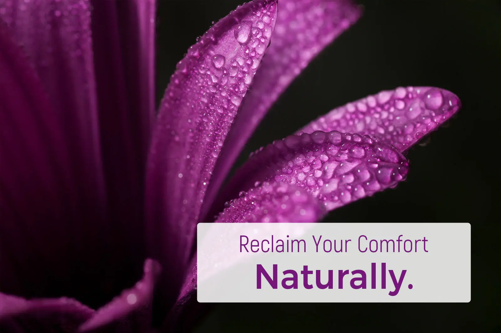 Laicuherb's Sea Buckthorn Oil is a product used to support Feminine Moisture