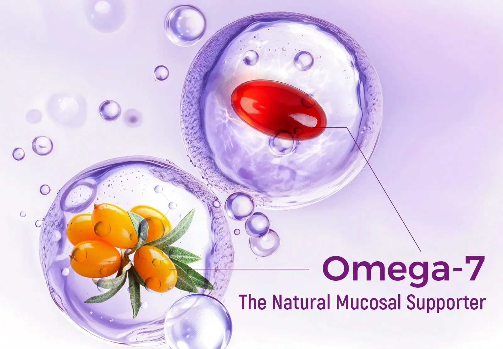 The main principle by which Laicuherb's Sea Buckthorn Oil moisturizes women's skin is Omega 7