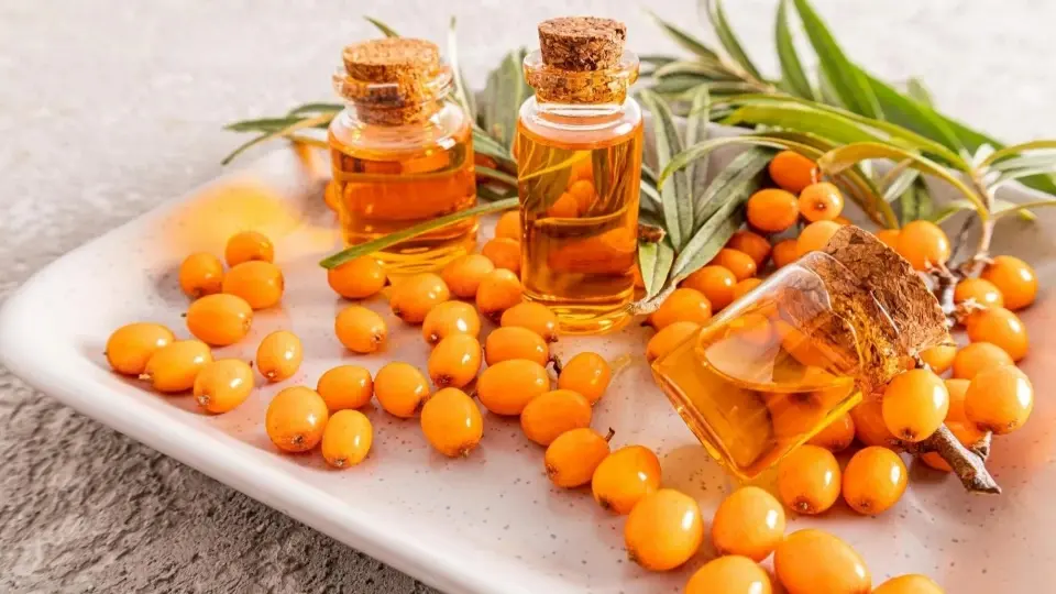 golden Sea Buckthorn berries and extracted oil