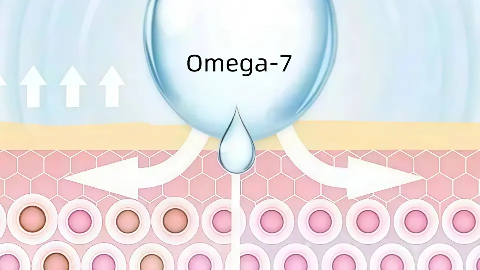 Omega-7 acts on the deep layers of the skin Omega-7 acts on the deep layers of the skin