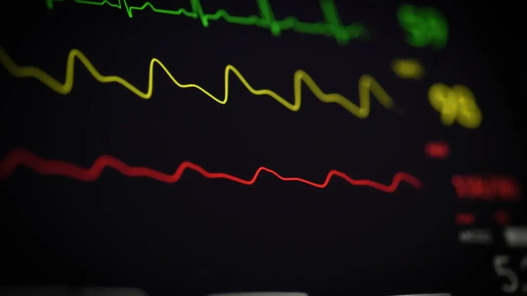 Rich in omega fatty acids and antioxidants, seabuckthorn oil promotes heart health -Laicuherb Rich in omega fatty acids and antioxidants, seabuckthorn oil promotes heart health -Laicuherb