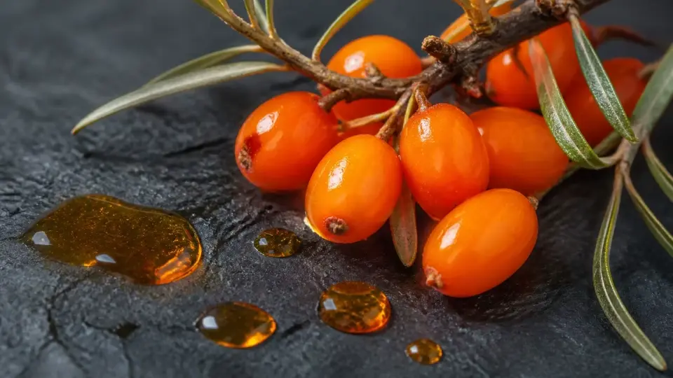 Ultra-realistic macro shot of wild sea buckthorn berries and glowing amber oil