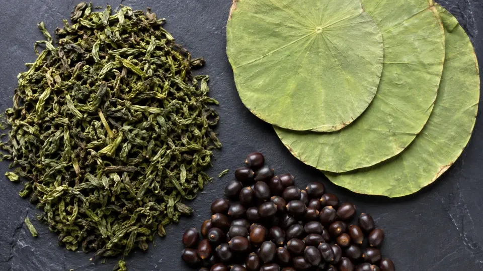 Pristine raw botanicals of dry green tea, structured lotus leaves, and cassia seeds neatly arranged Pristine raw botanicals of dry green tea, structured lotus leaves, and cassia seeds neatly arranged