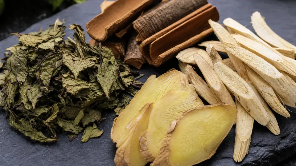 A botanical close-up showing raw spearmint leaves, cinnamon, ginger, and Radix Asparagi roots neatly placed on slate A botanical close-up showing raw spearmint leaves, cinnamon, ginger, and Radix Asparagi roots neatly placed on slate