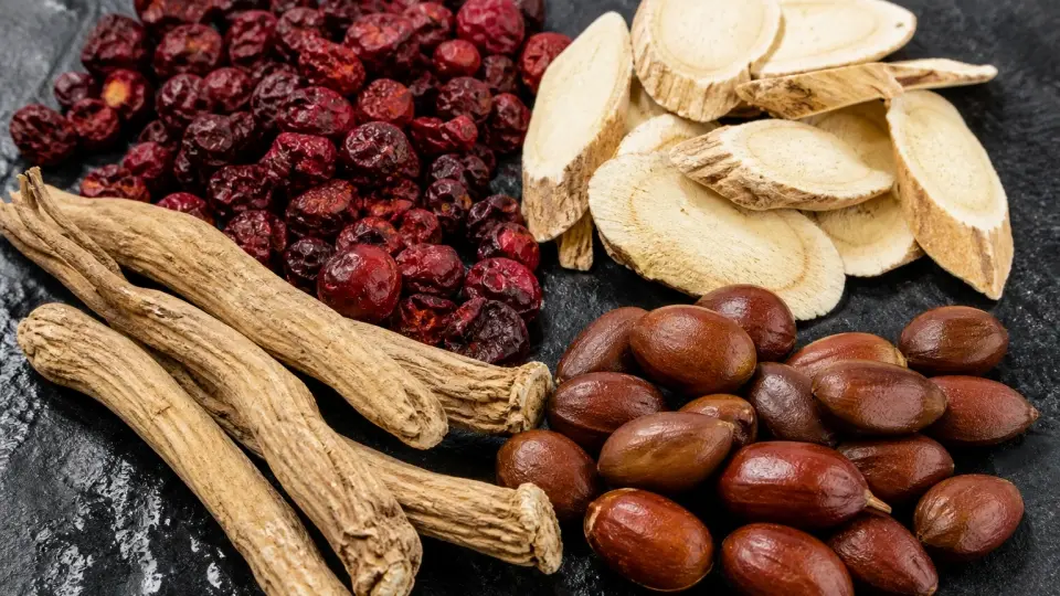A detailed close-up shot of raw Schisandra berries, Astragalus slices, Codonopsis root, and Jujube seeds A detailed close-up shot of raw Schisandra berries, Astragalus slices, Codonopsis root, and Jujube seeds