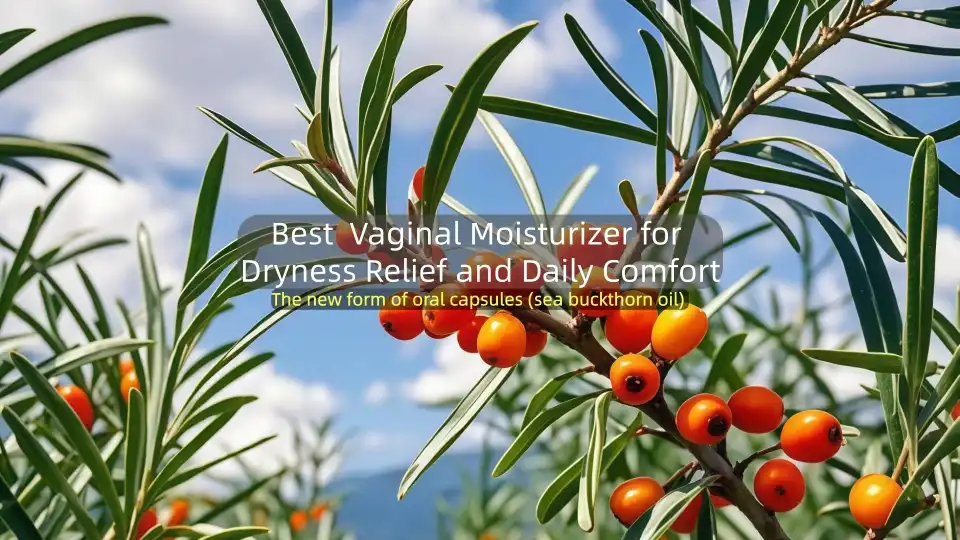 શુષ્કતા રાહત અને દૈનિક આરામ માટે શ્રેષ્ઠ યોનિમાર્ગ મોઇશ્ચરાઇઝર