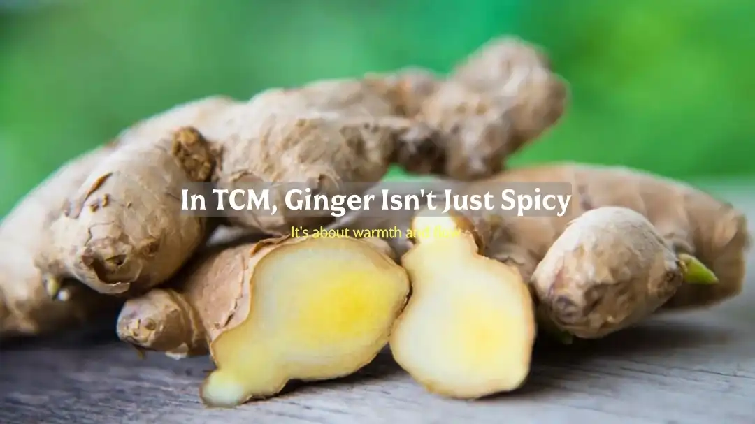 TCM imbieras nėra tik aštrus – tai šiluma ir tėkmė