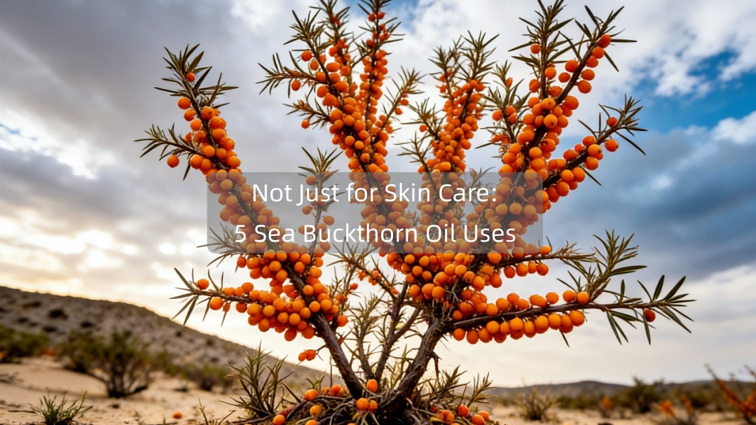 చర్మ సంరక్షణ కోసం మాత్రమే కాదు: సీ బక్‌థార్న్ ఆయిల్ యొక్క 5 ఉపయోగాలు
