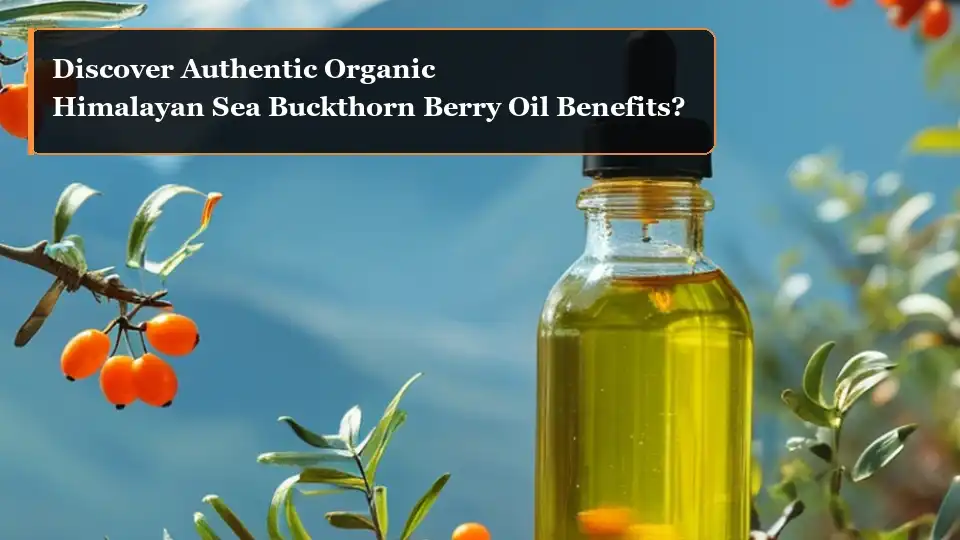 Tsvaga Mabhenefiti Echokwadi Emafuta eHimalayan Sea Buckthorn Berry?