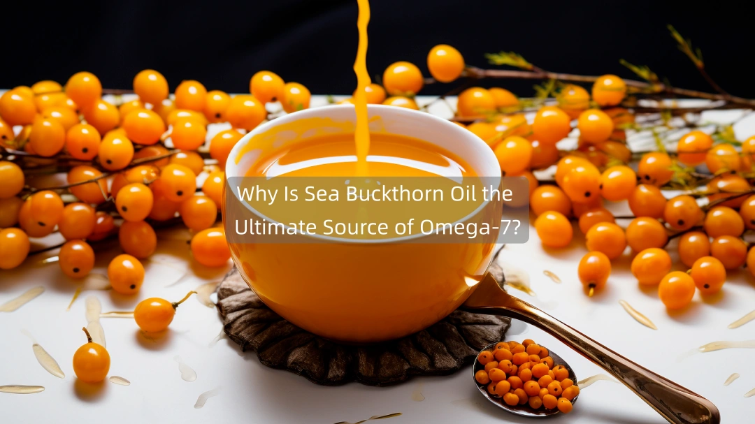 Чаму алей абляпіхі з'яўляецца найлепшай крыніцай амега-7?